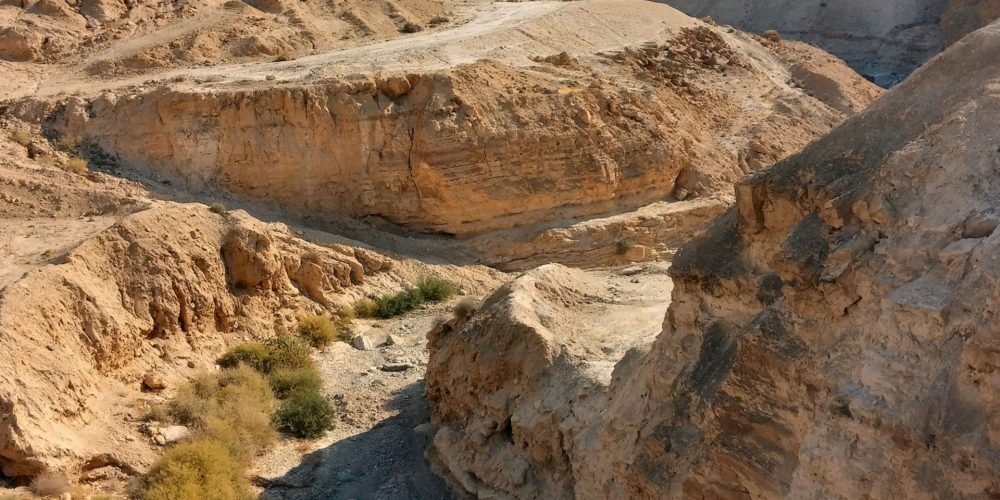 deserto em israel