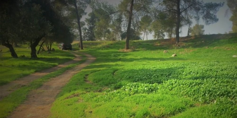 estrada romana na judeia