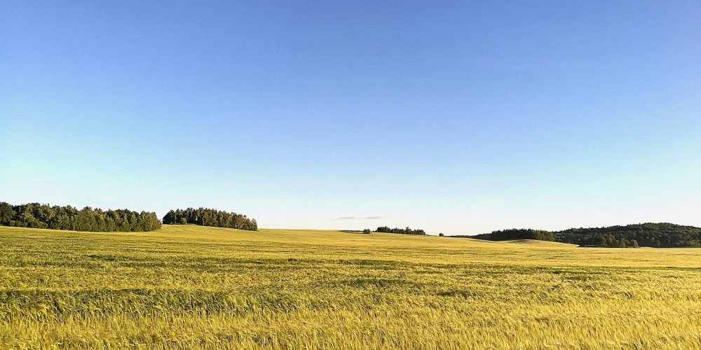 field
