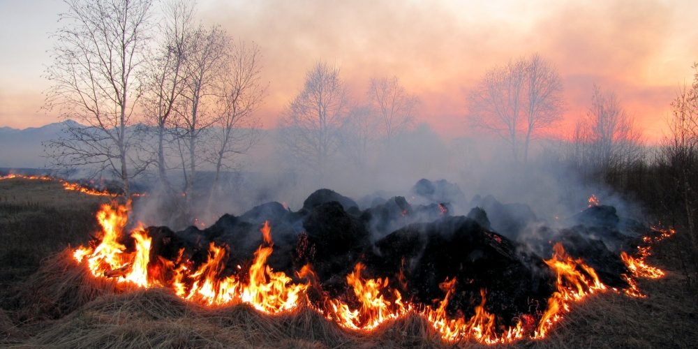 fire