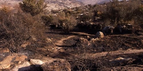 Incêndios em ISRAEL