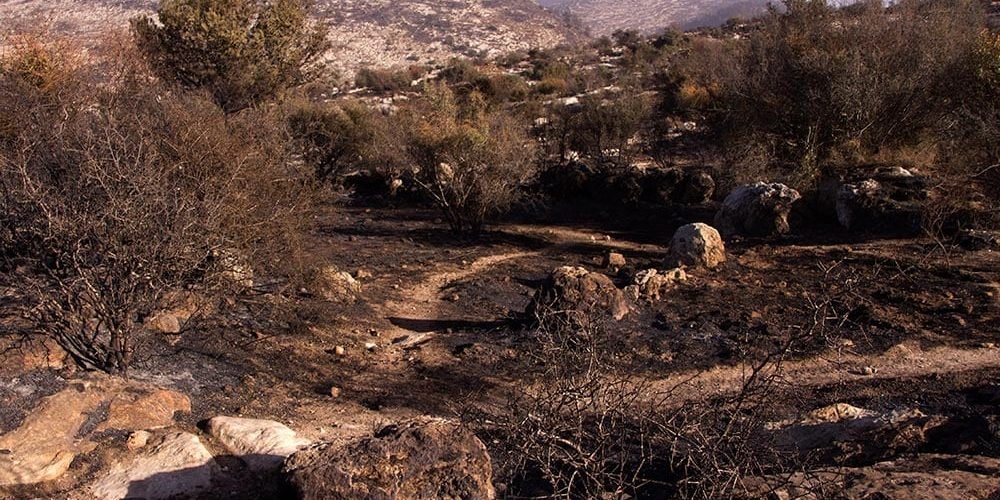 Incêndios em ISRAEL