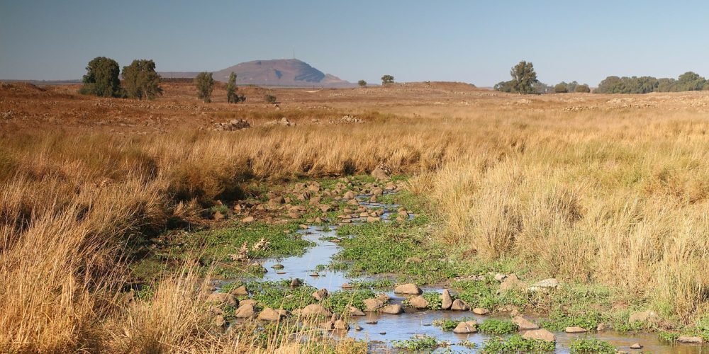 golan heights