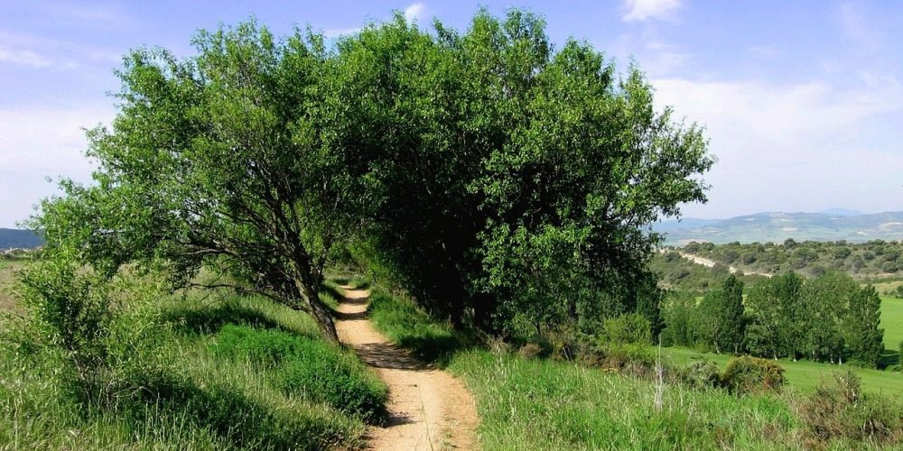 hollow way 684925 1280