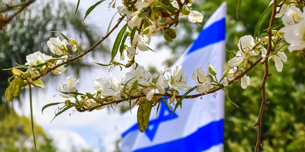 israeli flag