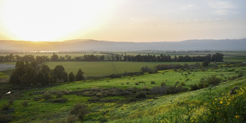 landscape