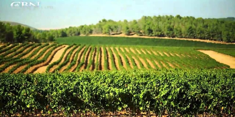 106 dias de Guerra Hamas X Israel