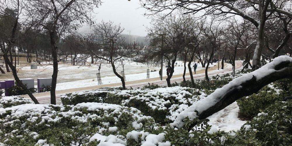 neve em jerusalem