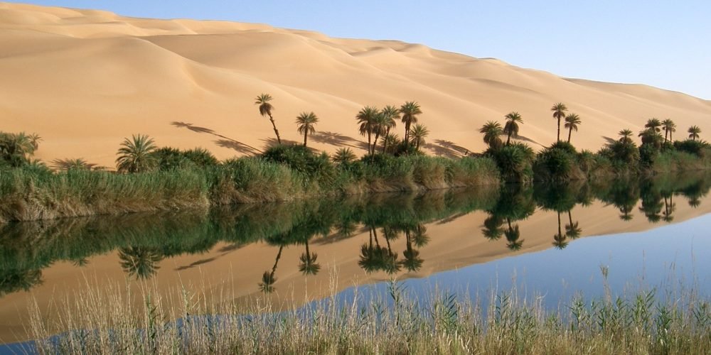 oasis