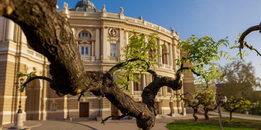 odessa opera