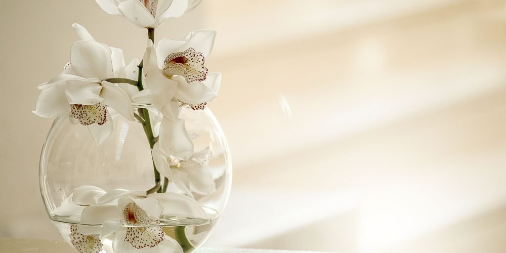 orchid