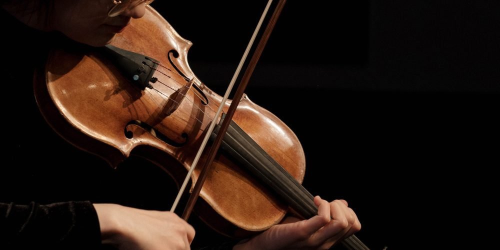 pexels cottonbro studio 7097474