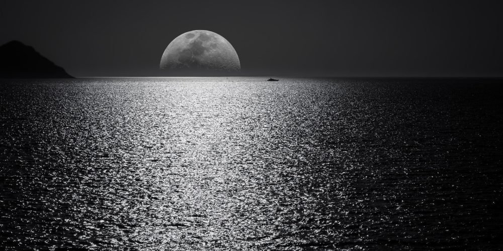 pexels george desipris