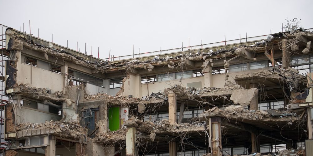 pexels mike b 11461003