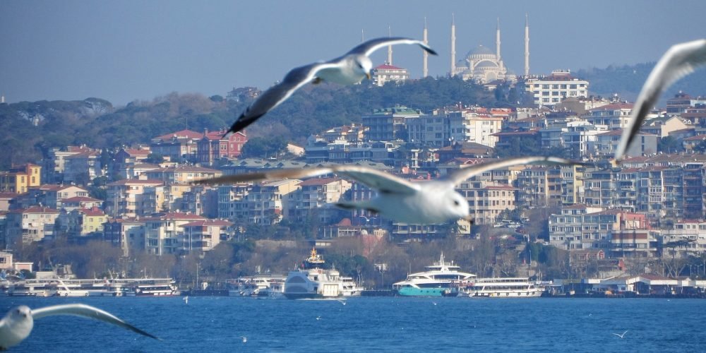 Turquia - pexels seyma d 14613269