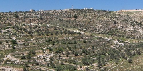 samaria