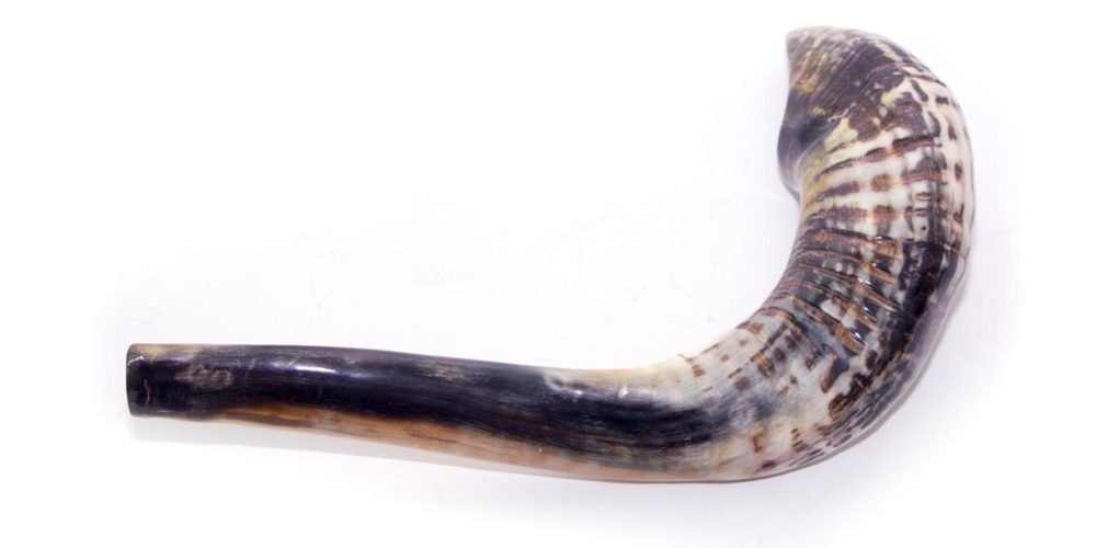 shofar ram
