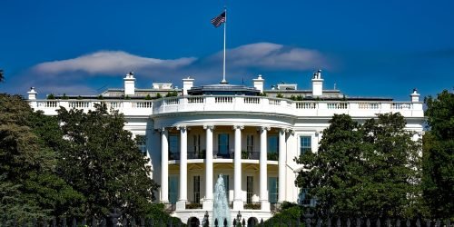 the white house